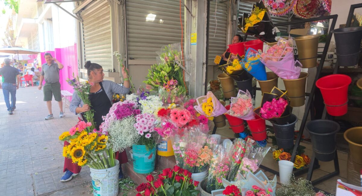 “Con fe y ganas de trabajar”: Floristas de Culiacán se preparan para el Día de Muertos
