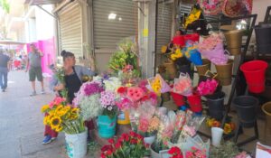 “Con fe y ganas de trabajar”: Floristas de Culiacán se preparan para el Día de Muertos