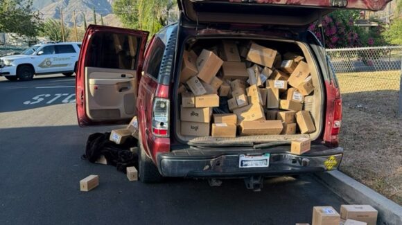 ¡Puro de marca! Caen en California a 9 sinaloense presuntos miembros del Cártel de Sinaloa por ‘robo sistemático’