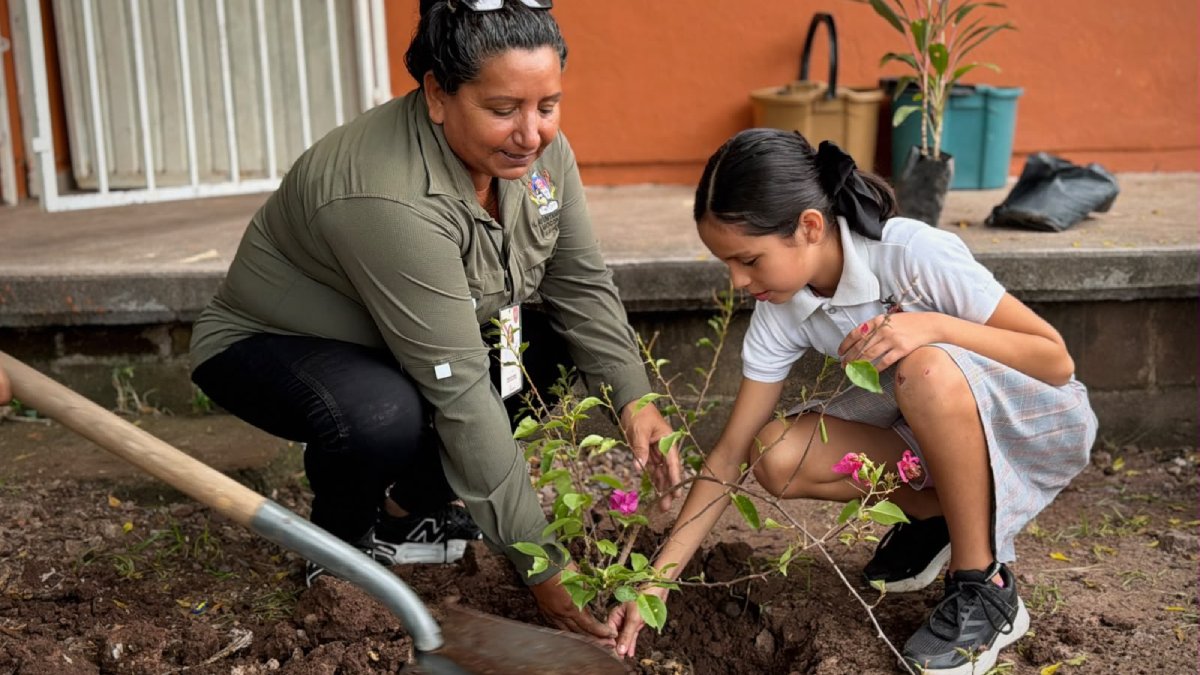 mocorito convoca a escuelas primarias a concurso por el medio ambiente