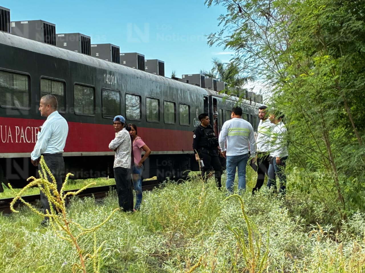 Joven pierde la vida luego de ser arrollado por el tren en La Arrocera, Ahome