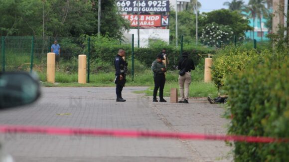Mujer es localizada sin vida y con aparentes signos de violencia en La Marina, Mazatlán