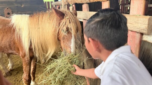 Disfrutan niños de Casa Hogar Santa Eduwiges de Los Mochis, Sinaloa, una experiencia de convivencia con animales
