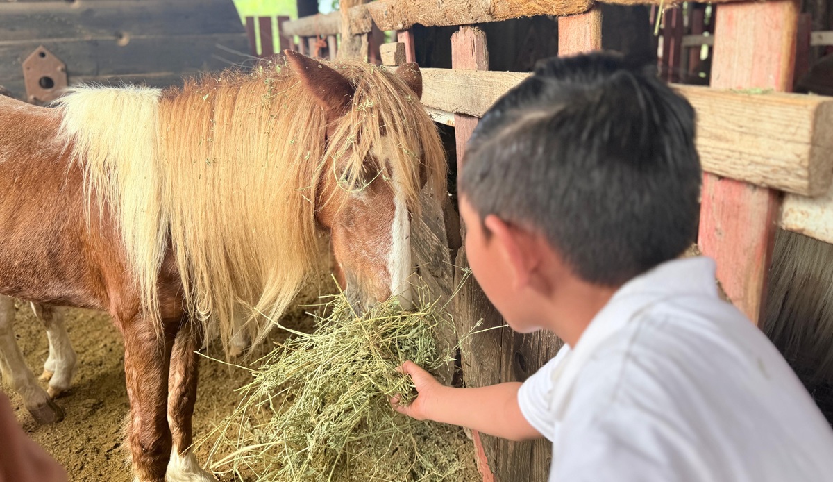 Niños de Casa Santa Eduwigues visitan Pet Farm, en Los Mochis