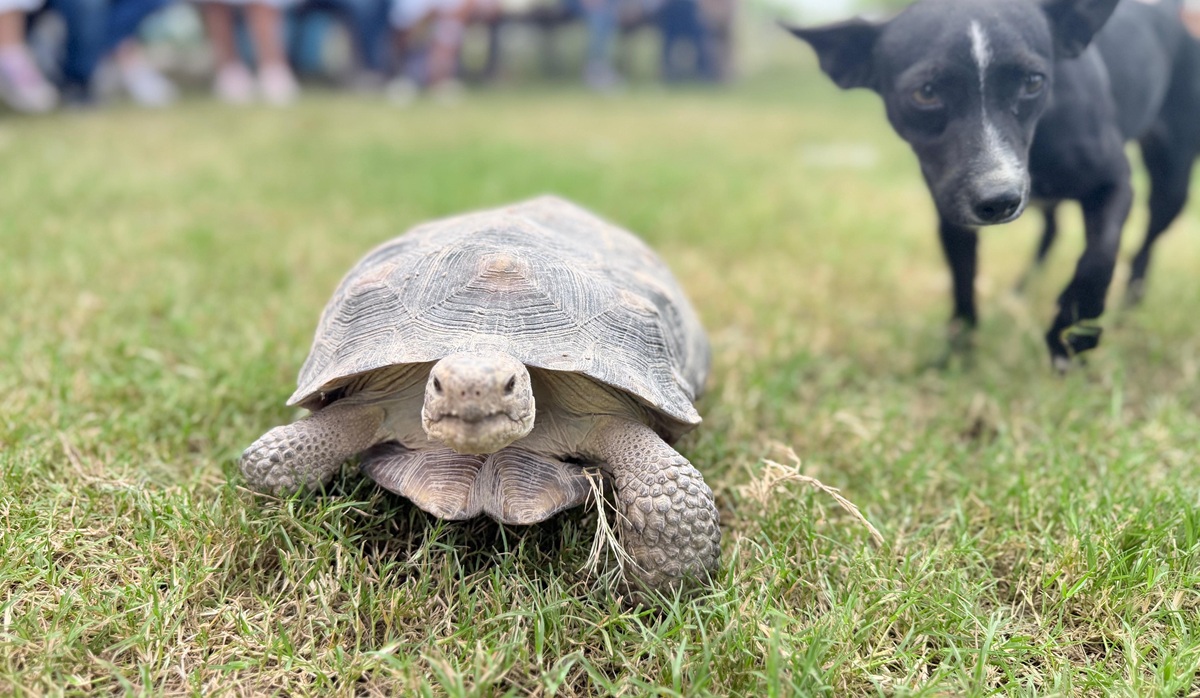 Niños de Casa Santa Eduwigues visitan Pet Farm, en Los Mochis