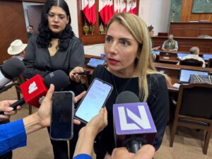 Diputada del PAN, Roxana Rubio Valdez