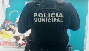 El perrito ‘El Pinto’, baleado en Culiacán, fue atendido de herida en una patita y se reporta estable