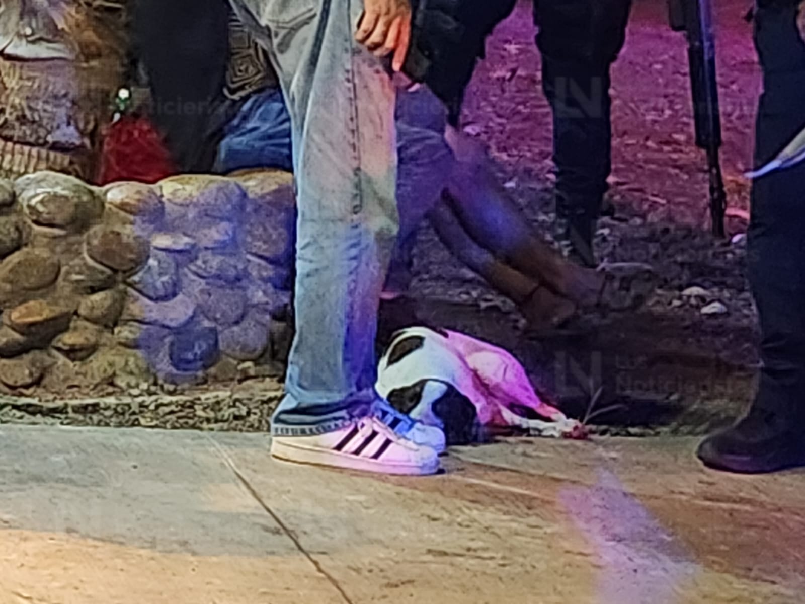Perro resulta herido de bala tras ataque armado contra vivienda en La Progreso, de Culiacán