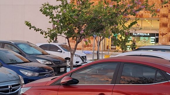 Atacan a balazos a una persona en plaza comercial de Mazatlán, Sinaloa; pierde la vida en el lugar