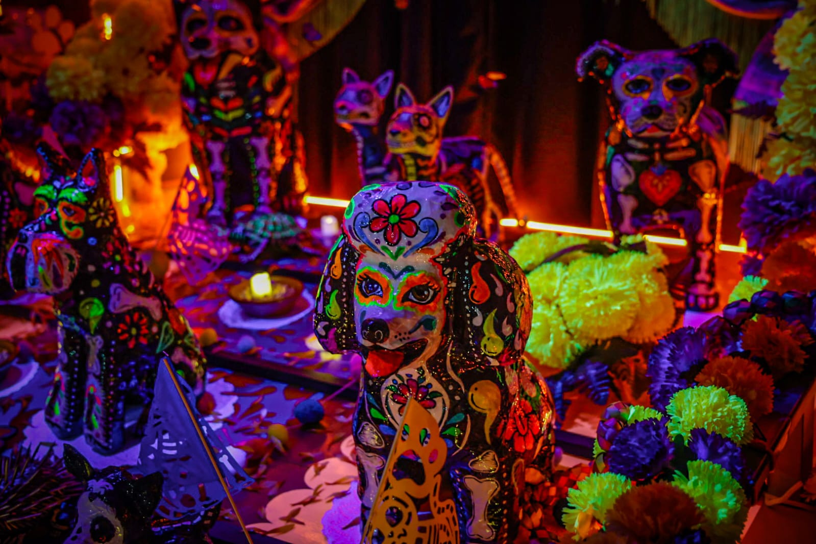 Portal Monumental de Patitas con Alas en Culiacán