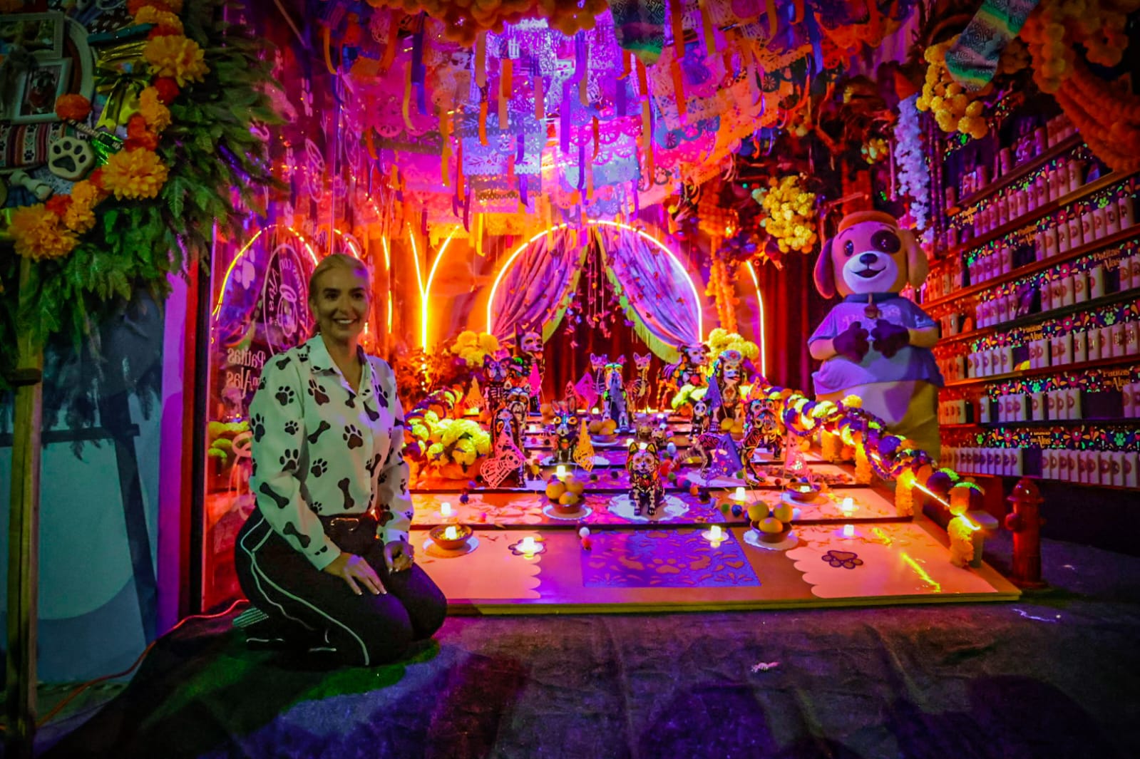 Portal Monumental de Patitas con Alas en Culiacán