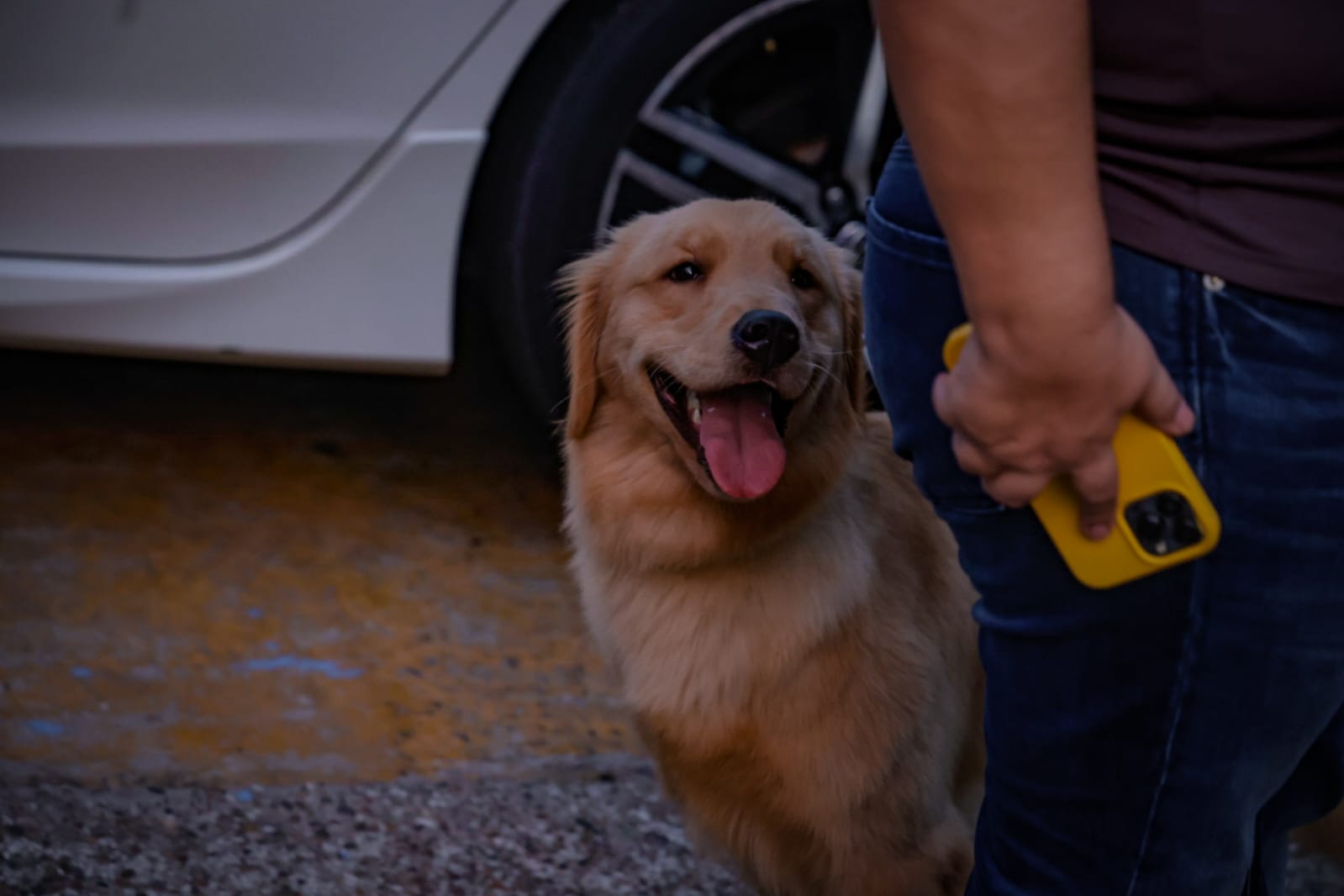 Portal Monumental de Patitas con Alas en Culiacán