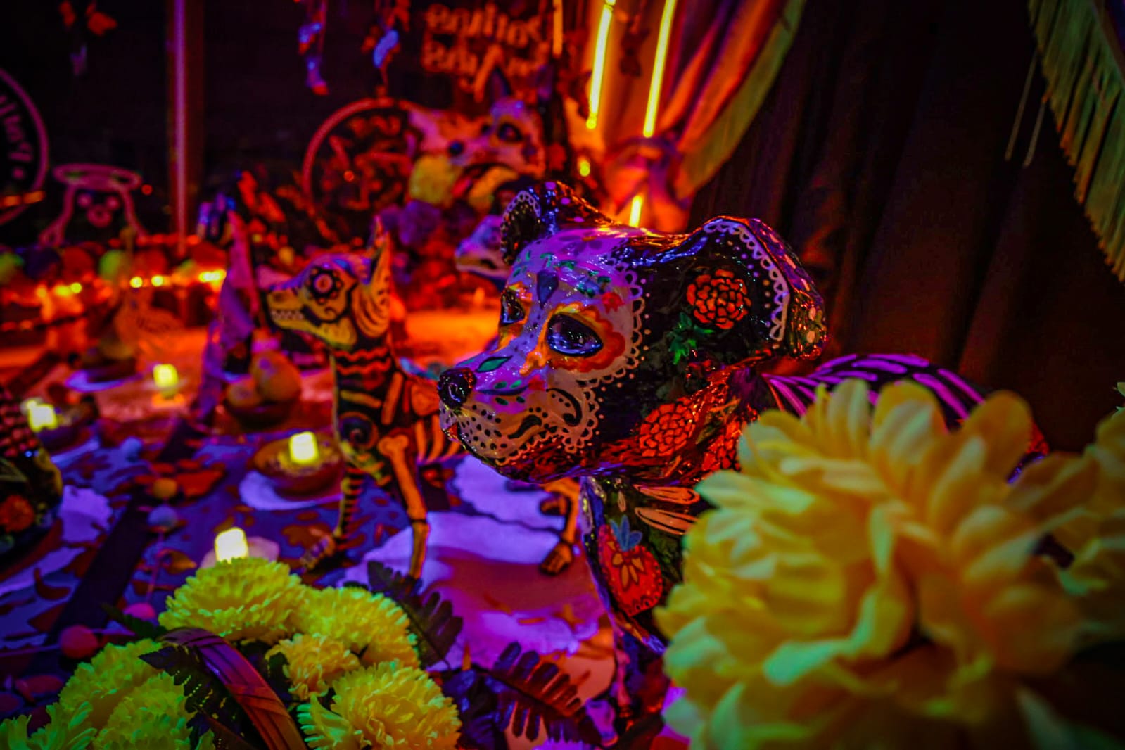 Portal Monumental de Patitas con Alas en Culiacán