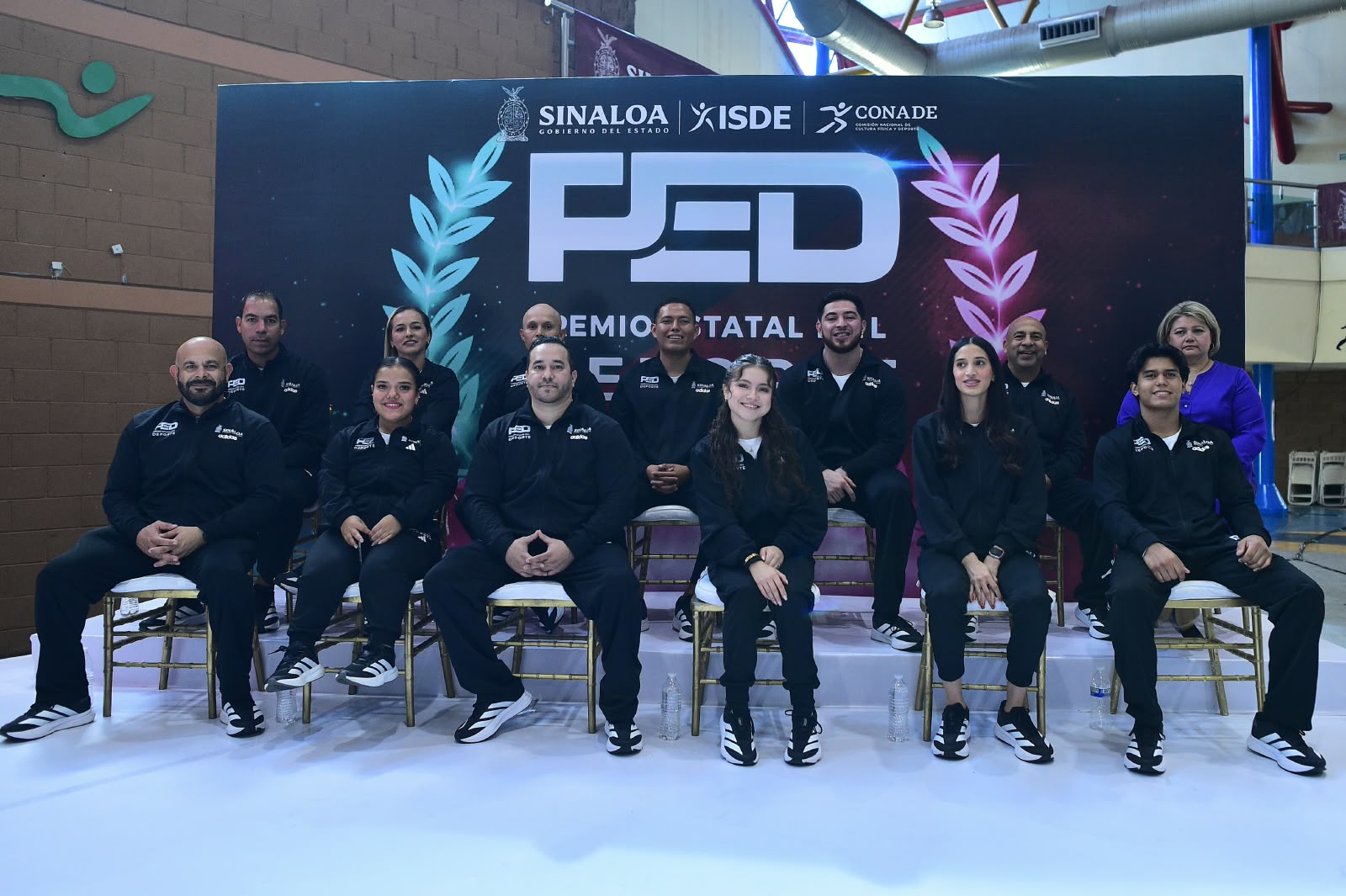 Premio Estatal del Deporte