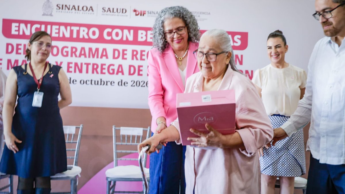programa de reconstruccion de mama y entrega de protesis externas adulta