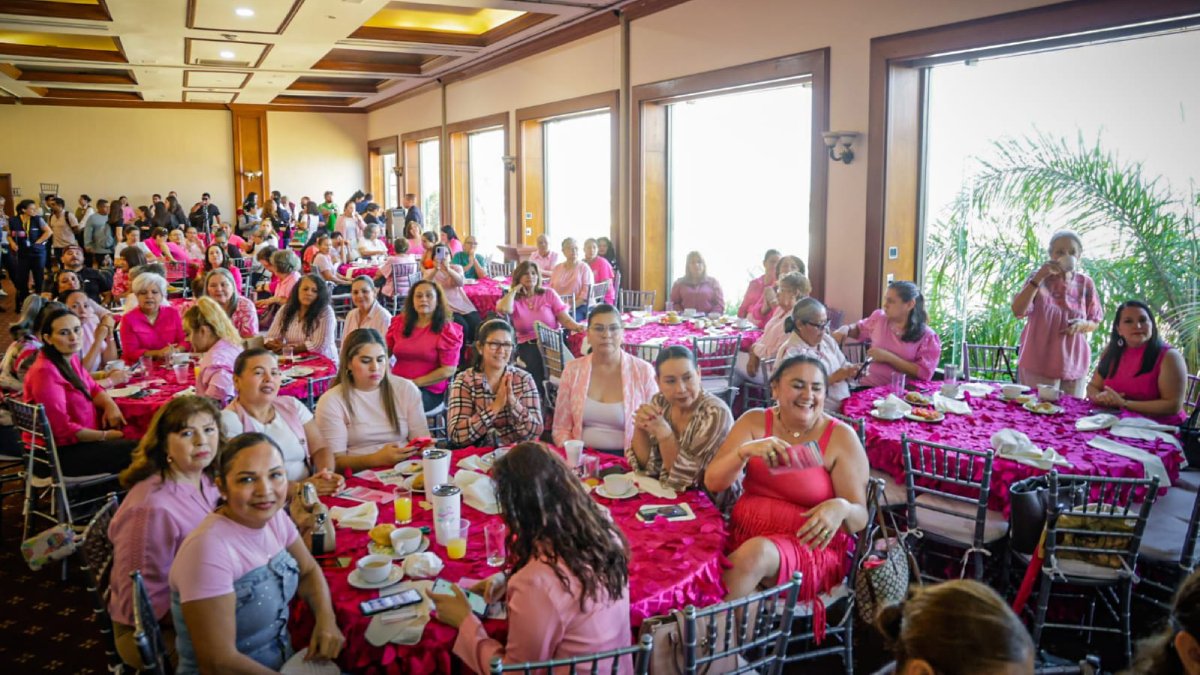 programa de reconstruccion de mama y entrega de protesis externas asisten