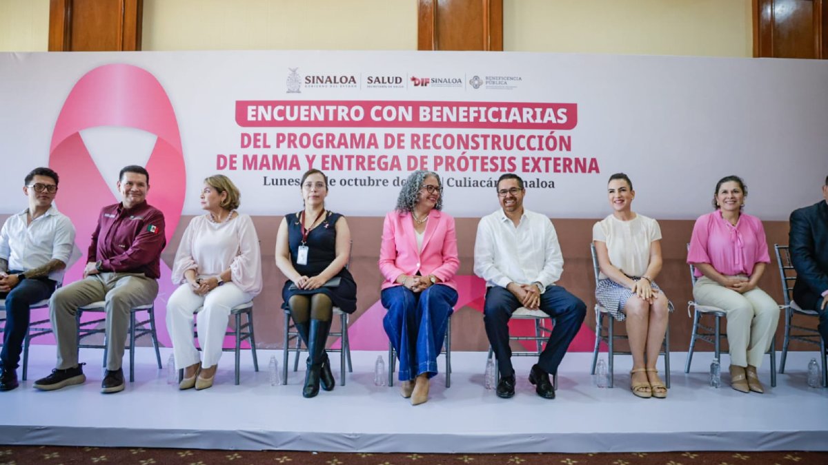 programa de reconstruccion de mama y entrega de protesis externas funcionarios