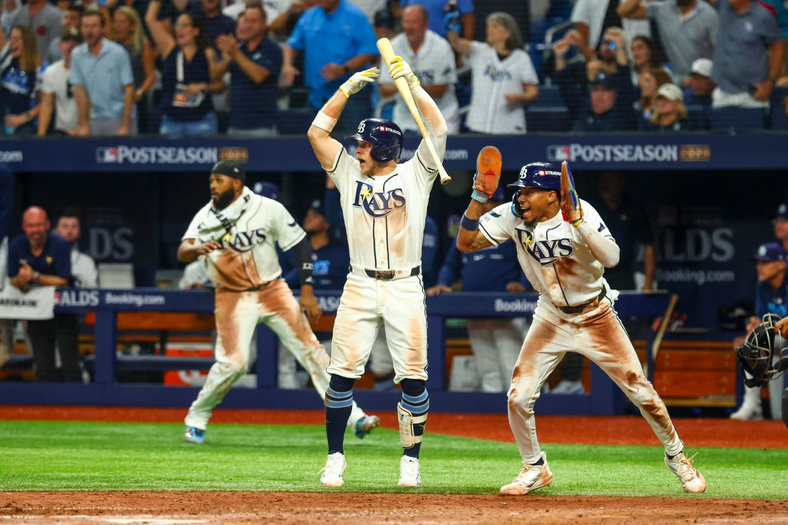 Rays de Tampa Bay
