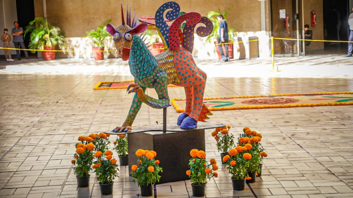 reconoce graciela dominguez a participantes en la elaboracion de ofrenda de dia de muertos figura