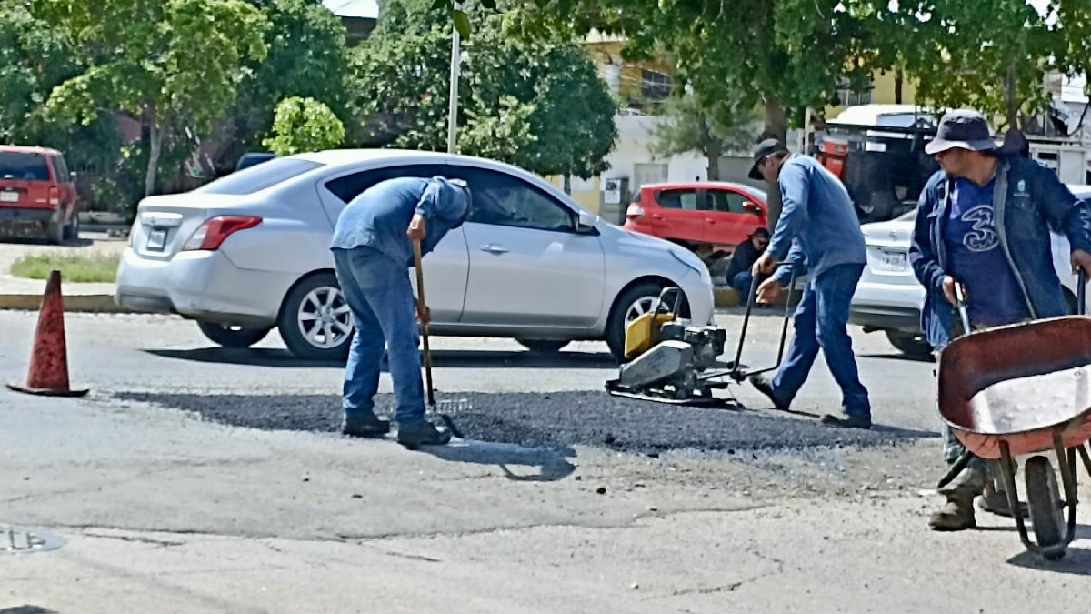 reparan baches en mazatlan calle