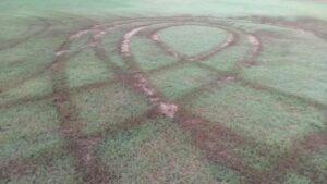reprueba tamazula fc vandalismo en su estadio tras daños a la cancha