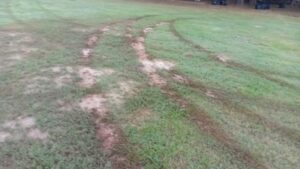 reprueba tamazula fc vandalismo en su estadio tras daños a la cancha hechos
