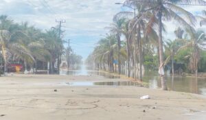Restauranteros de Las Glorias, Guasave, realizan por su cuenta labores de limpieza tras afectaciones de marejadas