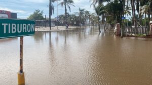 restauranteros de las glorias guasave sin