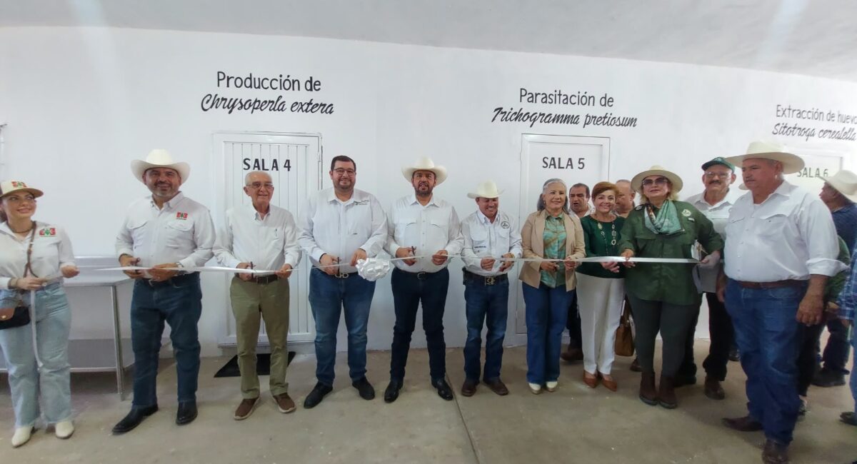 Fortalecen Sanidad Vegetal en el Valle del Évora con nuevos laboratorios y dron de precisión
