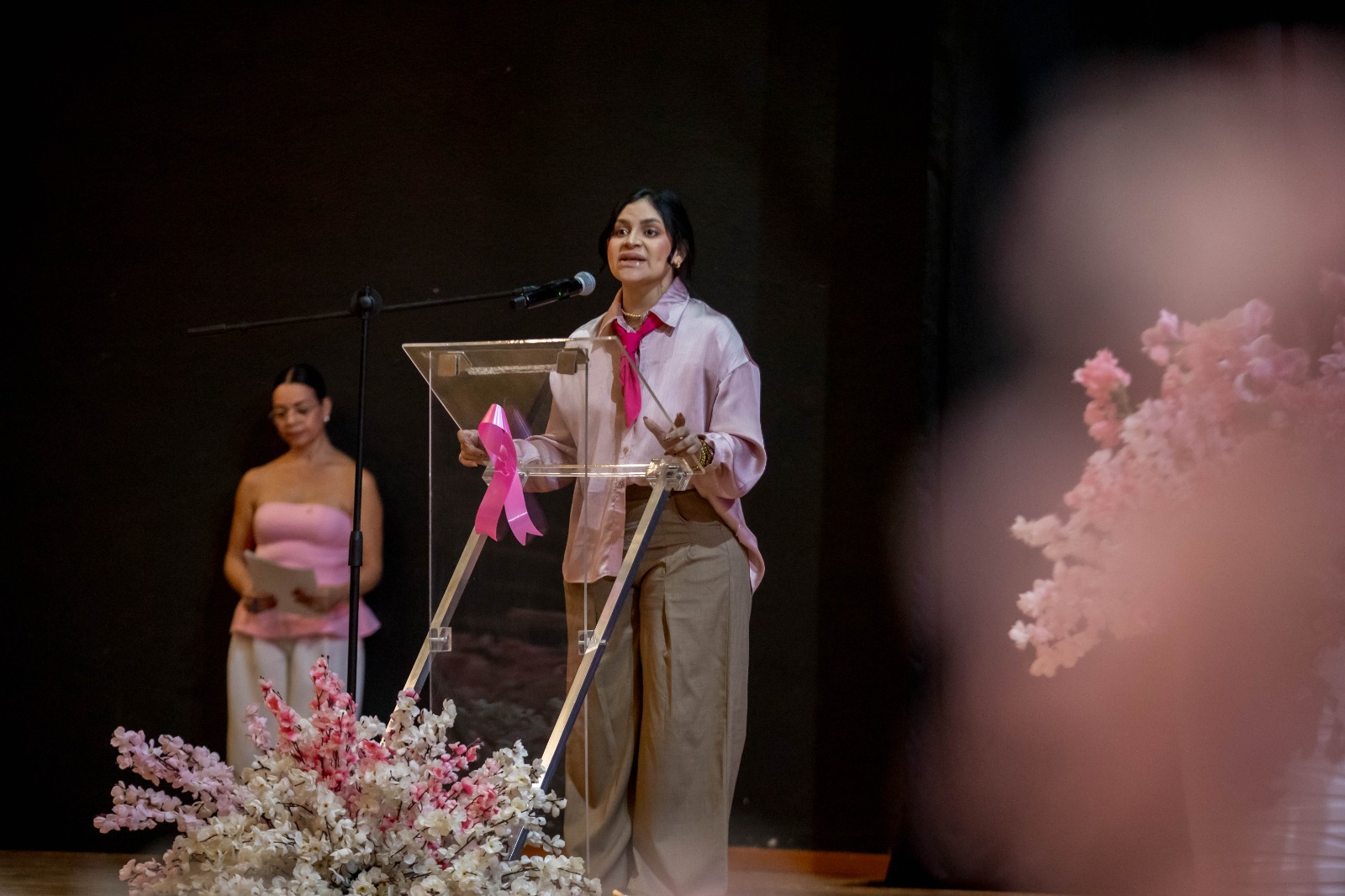 Sara Beatriz Chávez Elizalde en conferencia sobre el cáncer de mama en Guasave
