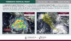 Se forma la tormenta tropical "Trudy"