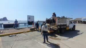 se registra nuevo socavon en mazatlan obra