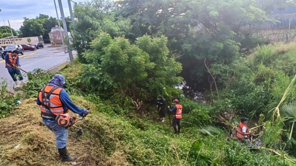 Realizan segunda limpieza de canales pluviales en Mazatlán, Sinaloa, tras detectar nueva acumulación de residuos