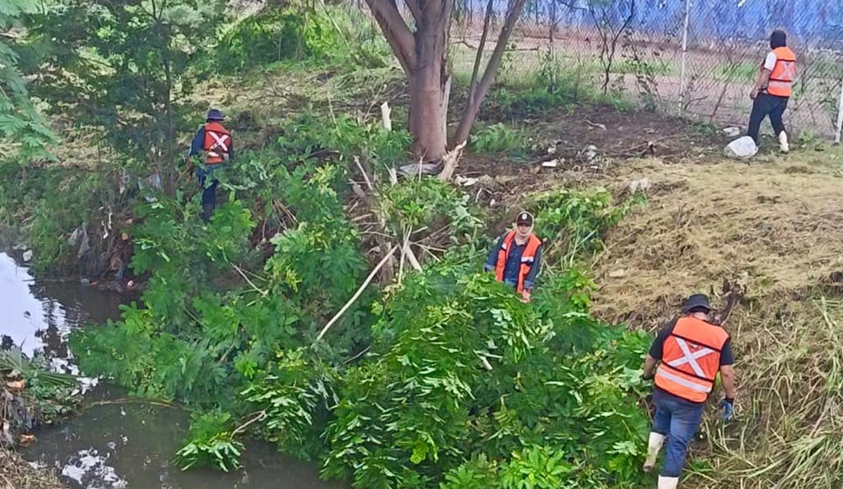 Segunda jornada de limpieza en canales pluviales de Mazatlán