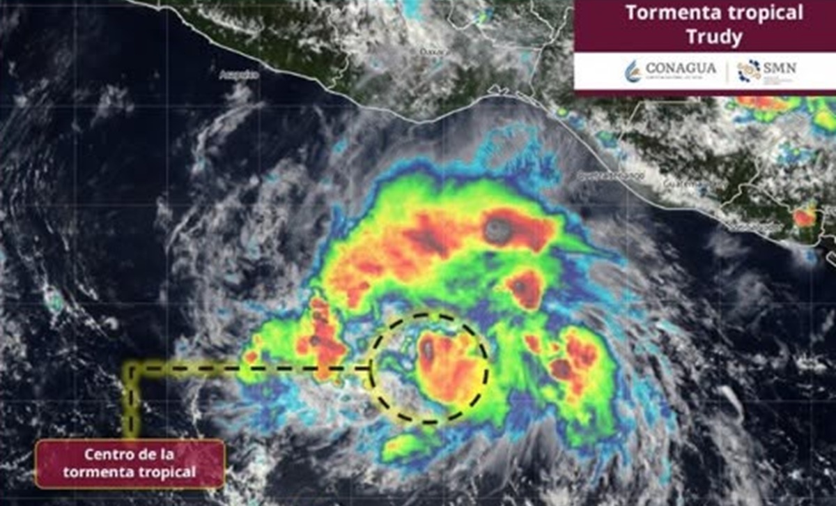 Se forma la tormenta tropical "Trudy"