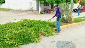 trabajo de limpieza en mazatlan sin