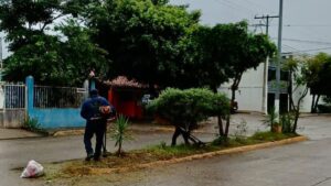 trabajo de limpieza en mazatlan sinaloa