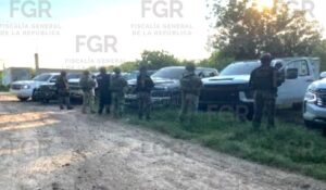 ¡No solo fueron vehículos! Aseguran 95 cartuchos y 10 cargadores durante cateo en Las Golondrinas, Guasave, Sinaloa