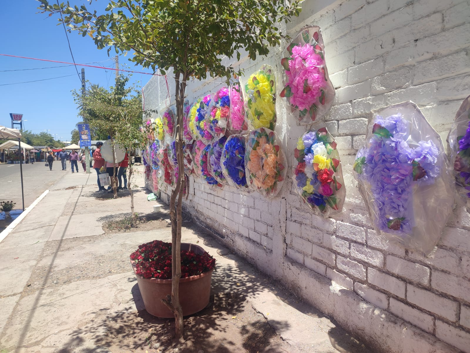 Se instalarán 90 vendedores por Día de Muertos en el panteón municipal de Guasave